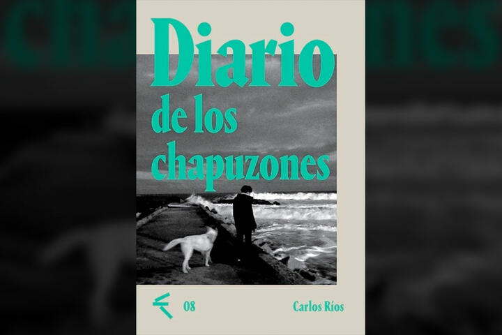 diario de los chapuzones