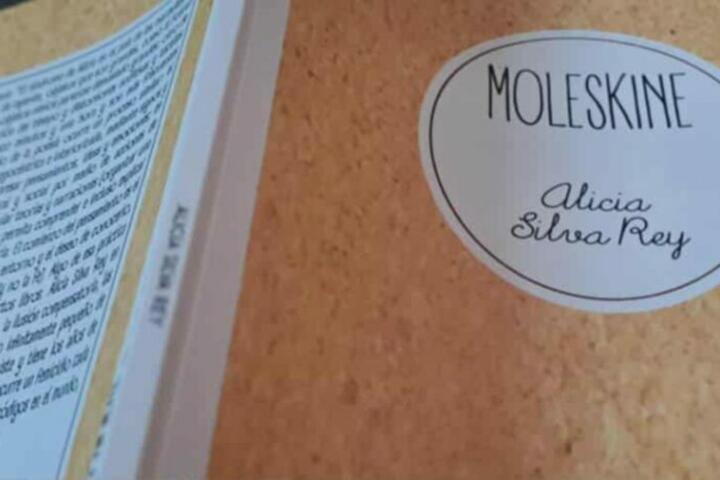 Moleskine