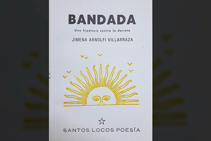 bandada poesia