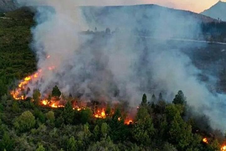 Incendios: ¿Por qué?