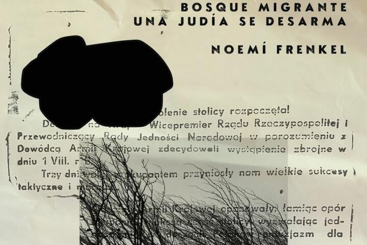 Libro Una judia se desarma 