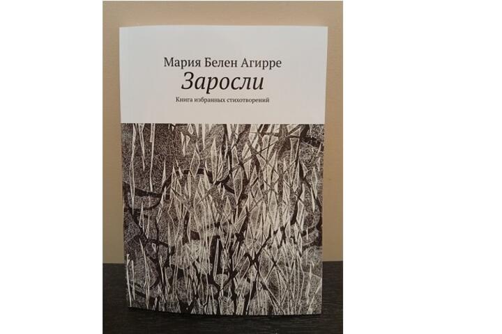 Tapa Matorral