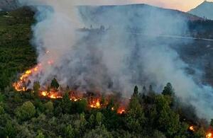 Incendios: ¿Por qué?