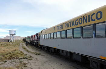 Tren patagónico