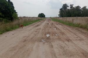 Ruta