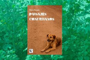 Libro Paisajes Conurbanos de Marx Bauzá