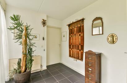 Plantas para interior